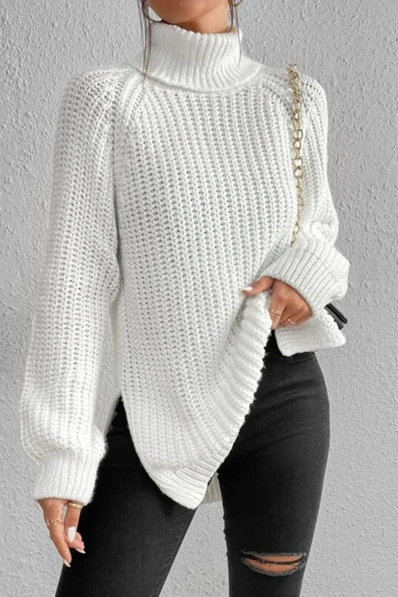 Casual Solid Basic Turtleneck Tops