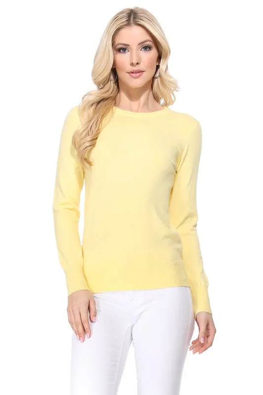 Crew Neck Long Sleeve Light Basic Casual Knit Top