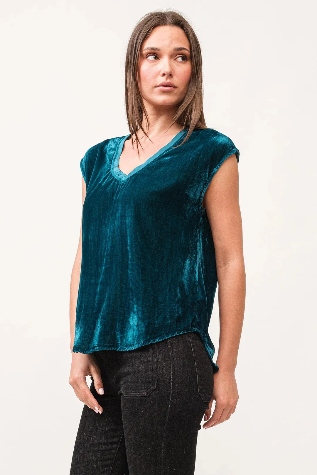 Dear John Yanis Velvet V-Neck Top