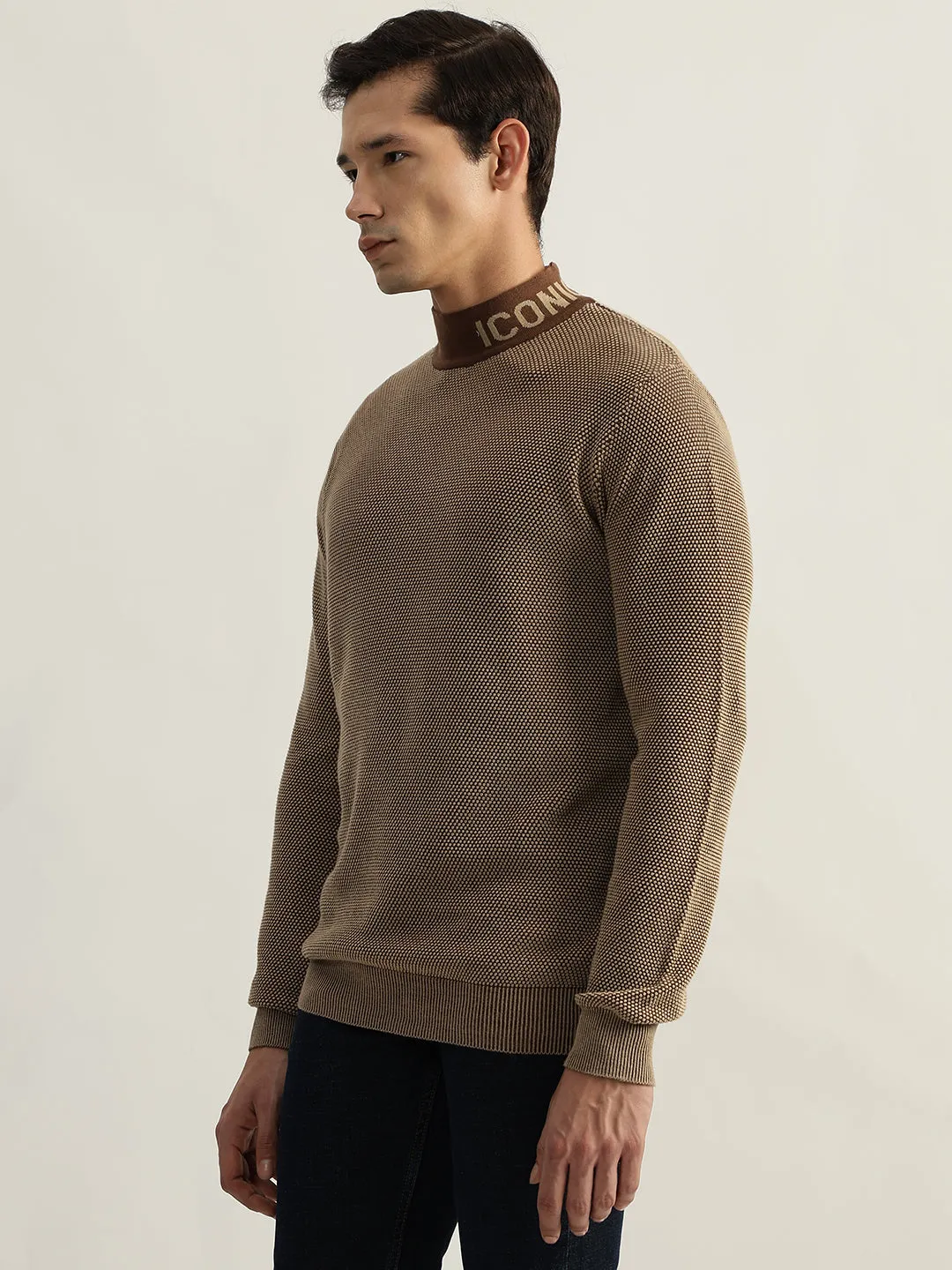 Iconic Men Brown Textured High Neck Full Sleeves Pullover Style Sweater