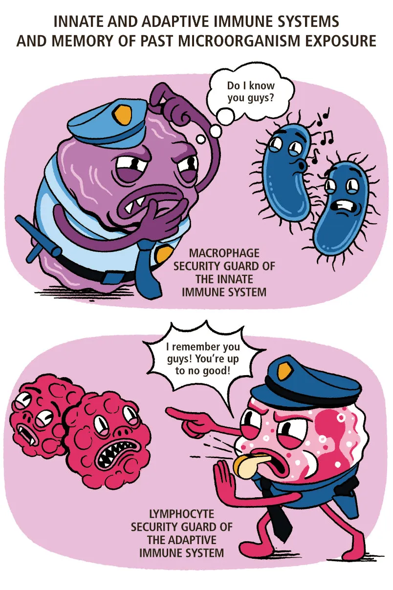 Immunology Made Ridiculously Simple