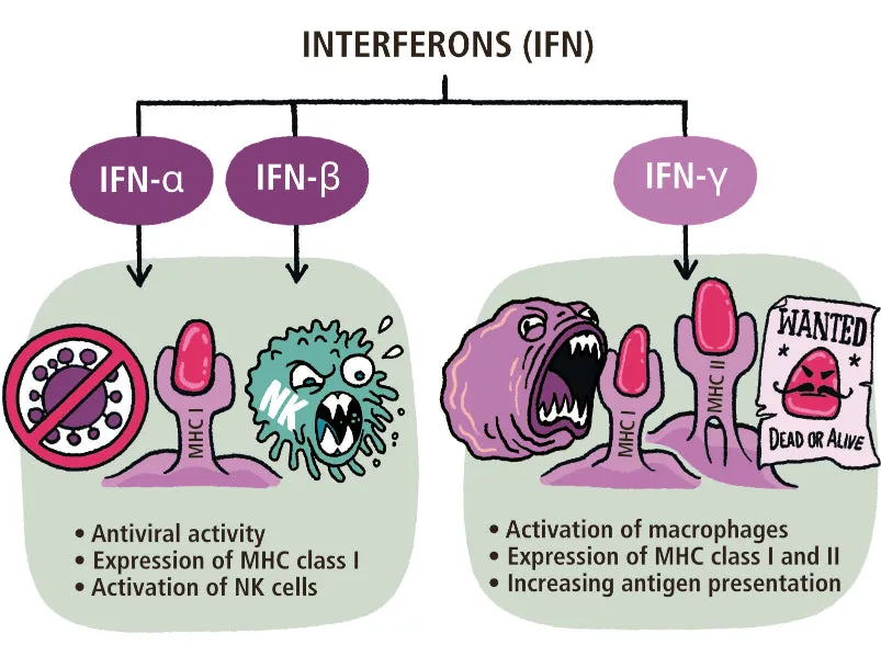 Immunology Made Ridiculously Simple