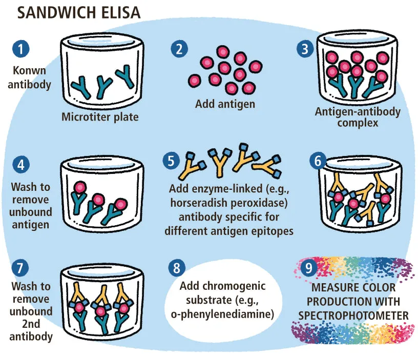 Immunology Made Ridiculously Simple